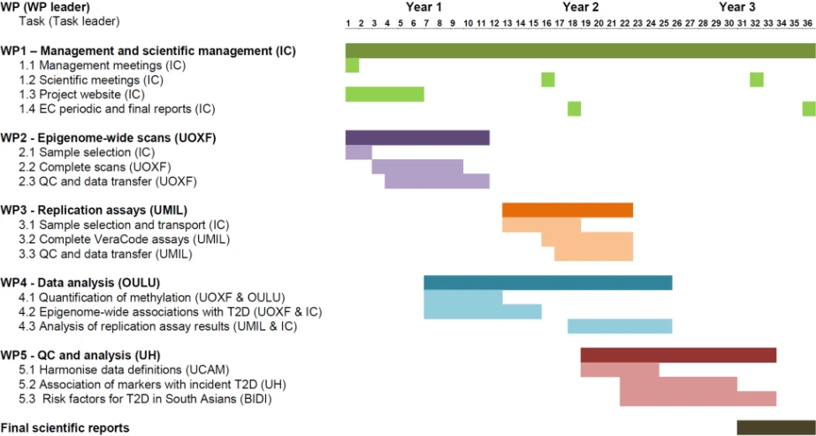 Timing of the EpiMigrant Work Packages